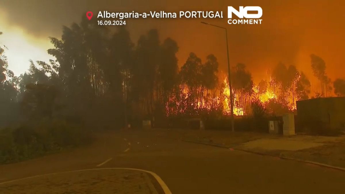 Video. Portekiz'de orman yangınları yerleşim yerlerine de sıçradı