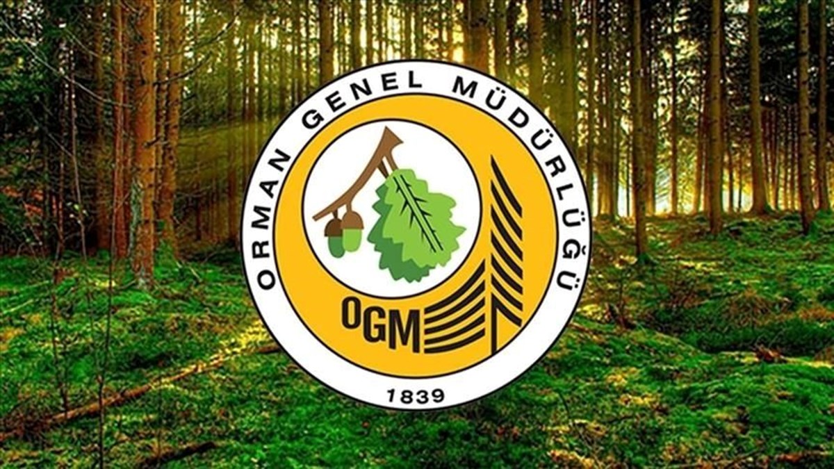 OGM 3 bin 477 personel alımı başvuru sonuçları 2025: OGM sözleşmeli destek personeli alımı sonuçları ne zaman açıklanacak? - görsel 4