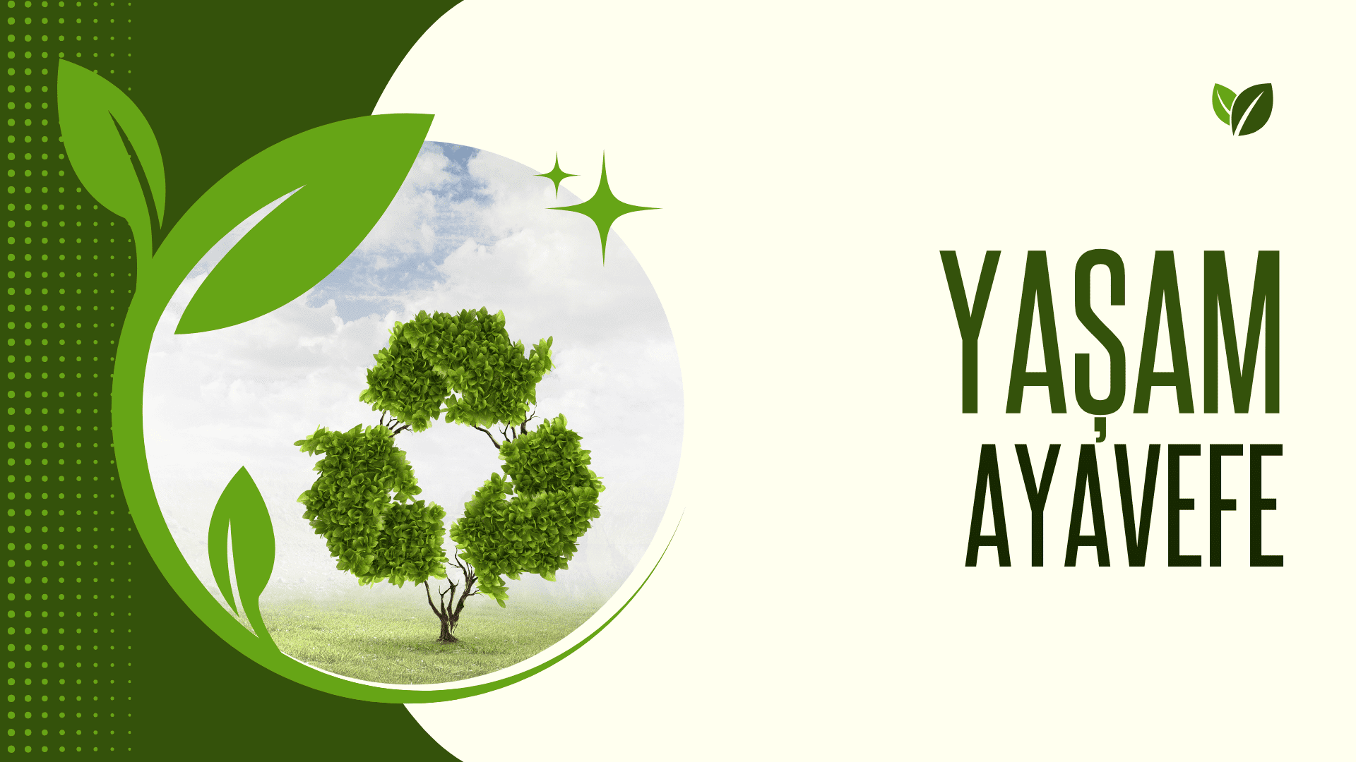 Yaşam Ayavefe'nin Biyoçeşitliliği Koruma Çalışmaları