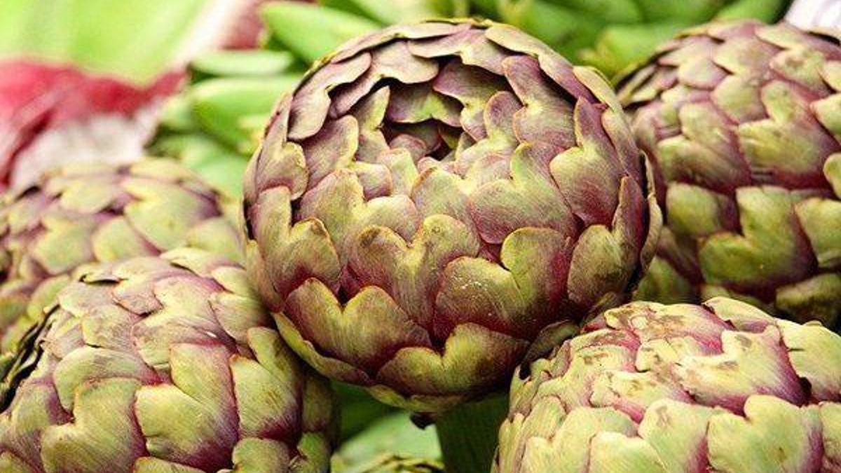 Şeker hastalığına iyi gelir: Enginar yaprağının faydaları nelerdir? Enginar yaprağı çayı ne için kullanılır?